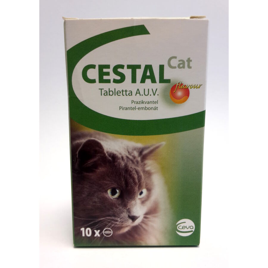 Drontal Cat féregtelenítő tabletta 2db /doboz - Élősködők ellen macskáknak
