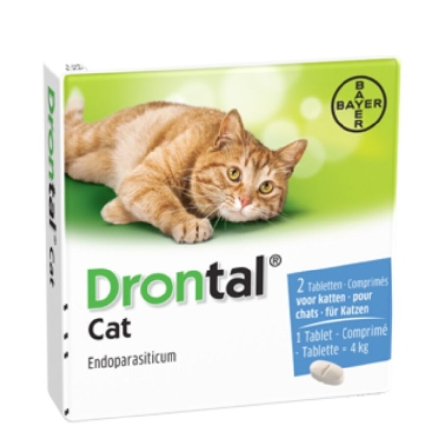 drontal cat féreghajtó tabletta