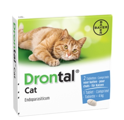 drontal cat féreghajto tabletta