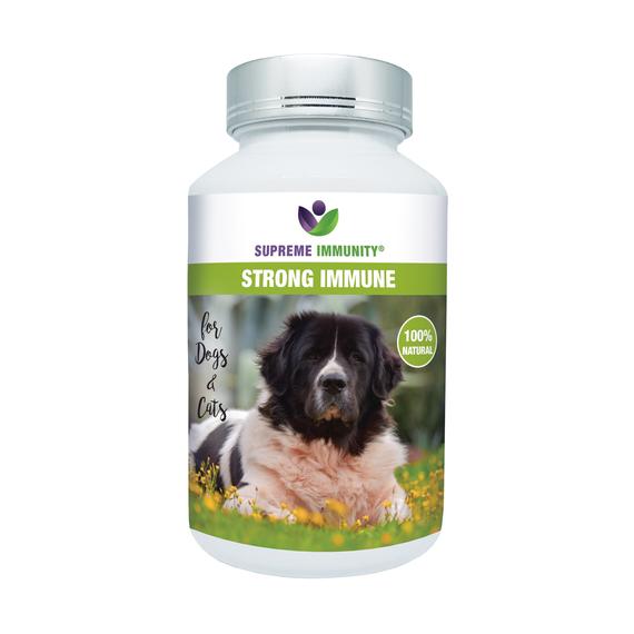 Energyvet- STRONG IMMUNE- IMMUNRENDSZER AKTIVÁLÓ 